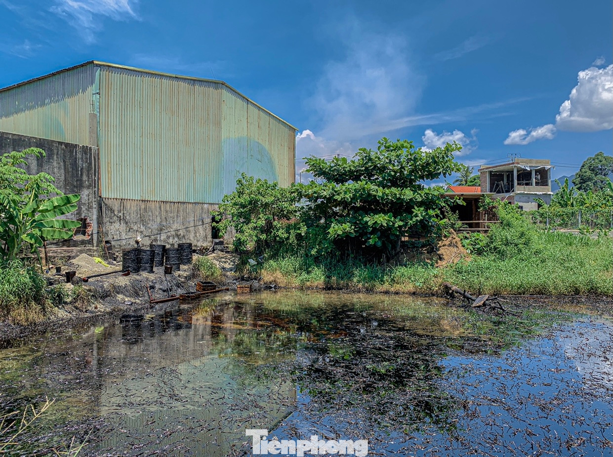 Hàng trăm hộ dân tổ 3, thôn Hưởng Phước (xã Hòa Liên) thời gian qua phải sống chung với mùi hôi từ cơ sở sản xuất dầu đóng trên địa bàn thôn. Nhiều hộ dân lo lắng gia đình, con cái sẽ bệnh tật nếu phải ngửi mùi hôi ngày này qua ngày khác.