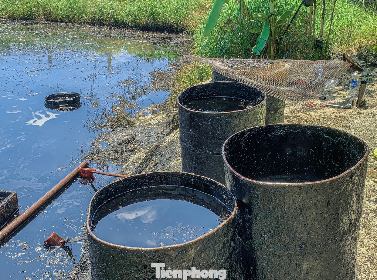 Nhiều thùng chứa dầu được tập kết phía sau.