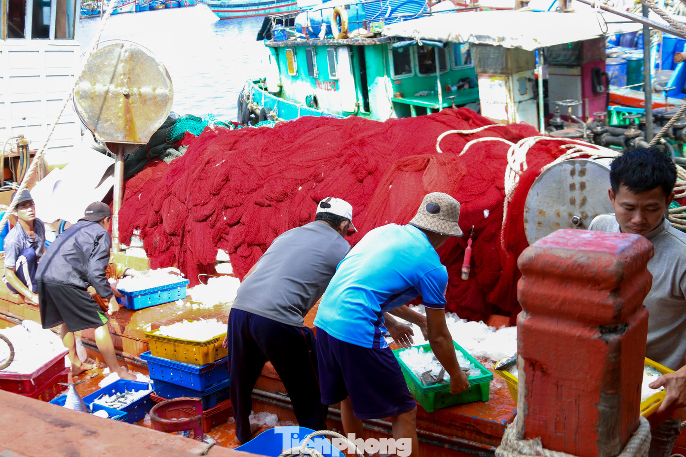 Sau 8 giờ sáng, những tàu đánh mực lần lượt vào bờ, chở theo những khay mực đầy ắp về cảng. Ngư dân tất bật chuyển những khay mực từ dưới khoang để vận chuyển vào chợ cá.