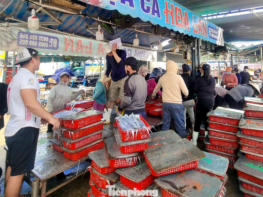 Những khay mực còn tươi óng ánh được các tiểu thương thu mua, sau đó bán lại cho các mối bán lẻ tại cảng.