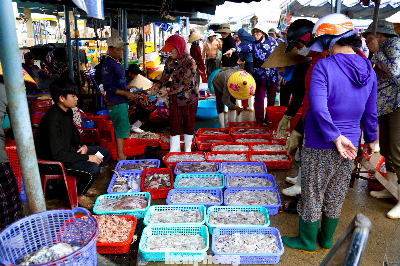Mỗi chuyến mực được đưa vào bến, các thương lái quây kín hàng, tranh nhau mua những mẻ ngon nhất để bán.