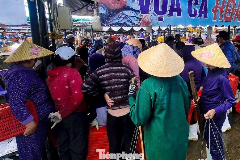 Mỗi chuyến mực được đưa vào bến, các thương lái quây kín hàng, tranh nhau mua những mẻ ngon nhất để bán.