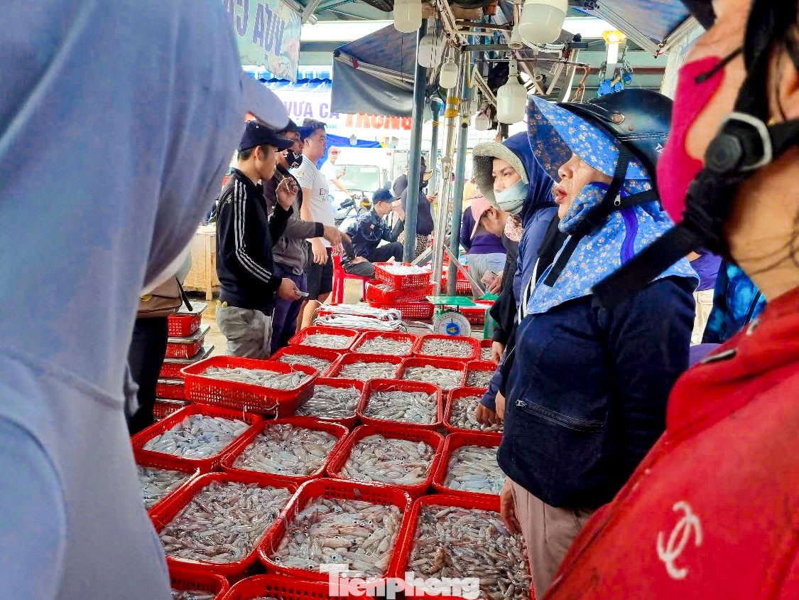 Những khay mực còn tươi óng ánh được các tiểu thương thu mua, sau đó bán lại cho các mối bán lẻ tại cảng.