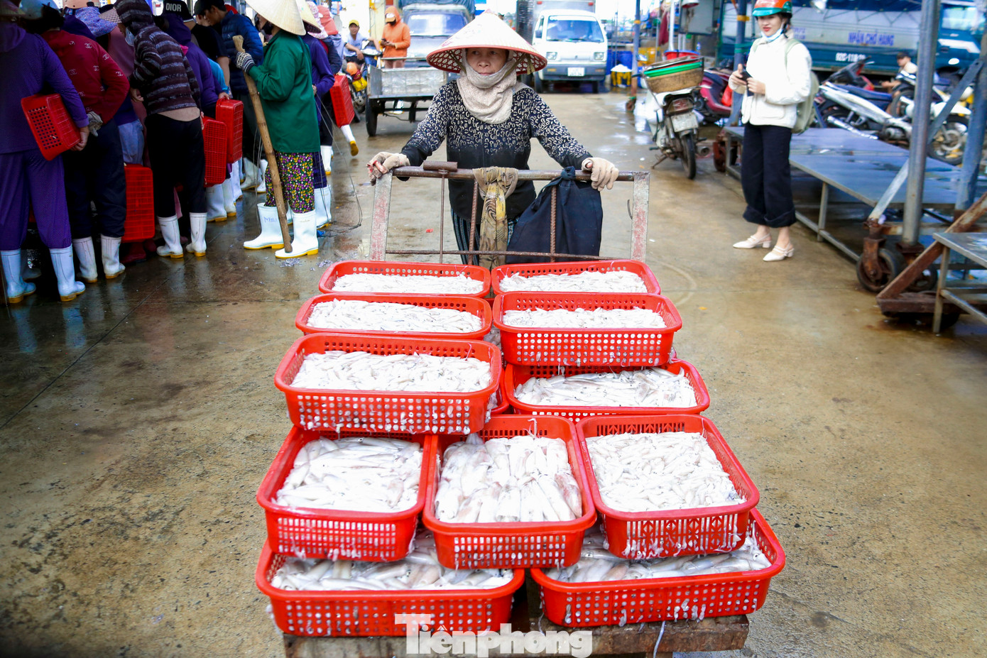 Nhiều thương lái mua được những xe mực lớn, sau đó đem phân bổ đến các chợ, nhà hàng, quán nhậu trên địa bàn. Theo các thương lái, họ phải nắm lịch tàu vào, đợi sẵn trước vựa, khi có mực ai nhanh tay sẽ lựa được khay ngon nhất.
