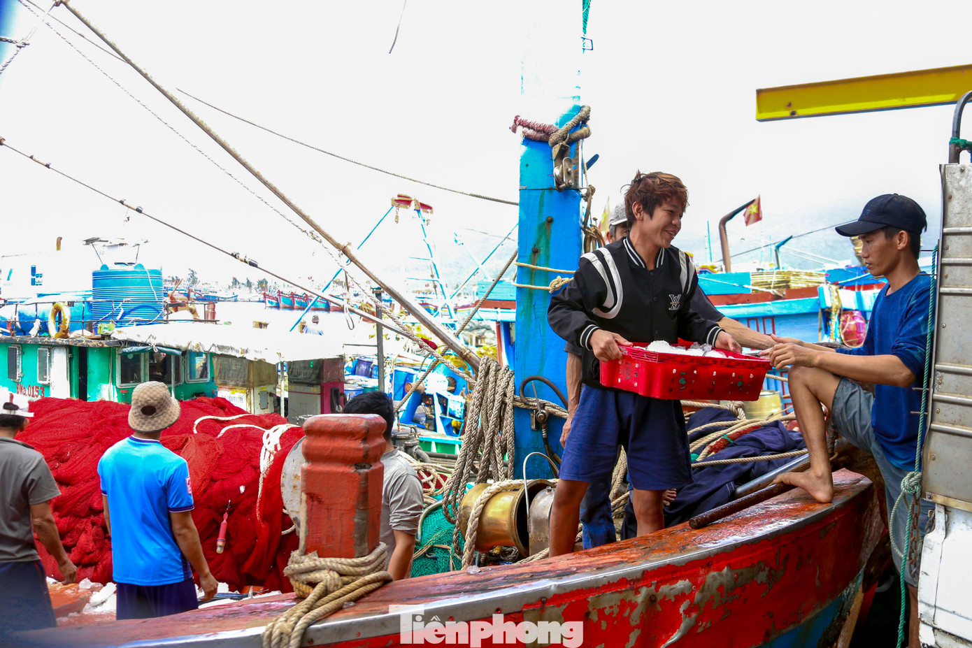 Cảng cá Thọ Quang là nơi các tàu thuyền của ngư dân miền Trung cập cảng buôn bán hải sản mỗi ngày. Hiện cảng đang được nâng cấp. Sau khi hoàn thành, cảng cá sẽ đáp ứng 300 lượt tàu có công suất tối đa 2.000 CV cập cảng/ngày, sản lượng hàng hóa qua cảng 100.000 tấn/năm.