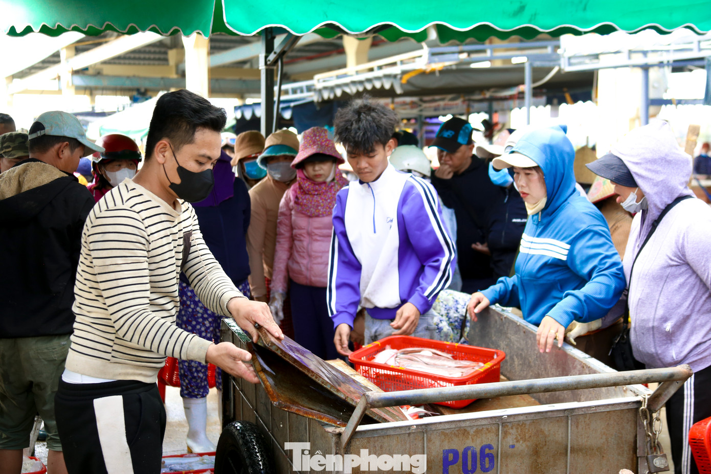 Chị Thanh Thủy (trú quận Sơn Trà) cho hay từ sáng sớm chị đã có mặt ở cảng gom mực ở nhiều tàu lại để bán sỉ. Gom đến đâu bán hết đến đó, hơn 10 giờ sáng đã bán hết. "Mùa này mực tươi và ngọt, giá lại mềm nên bán rất "đã tay". Những loại mực lớn từ 200.000 đồng/kg hầu hết các nhà hàng gom, loại nhỏ hơn thì ra chợ", chị Thủy nói.