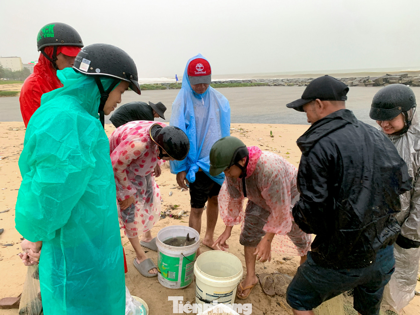 Cá sau khi đánh bắt lên bờ được nhiều người dân và khách đi đường mua ngay tại chỗ, việc mua bán diễn ra nhanh chóng, không cần qua chợ hay trung gian.