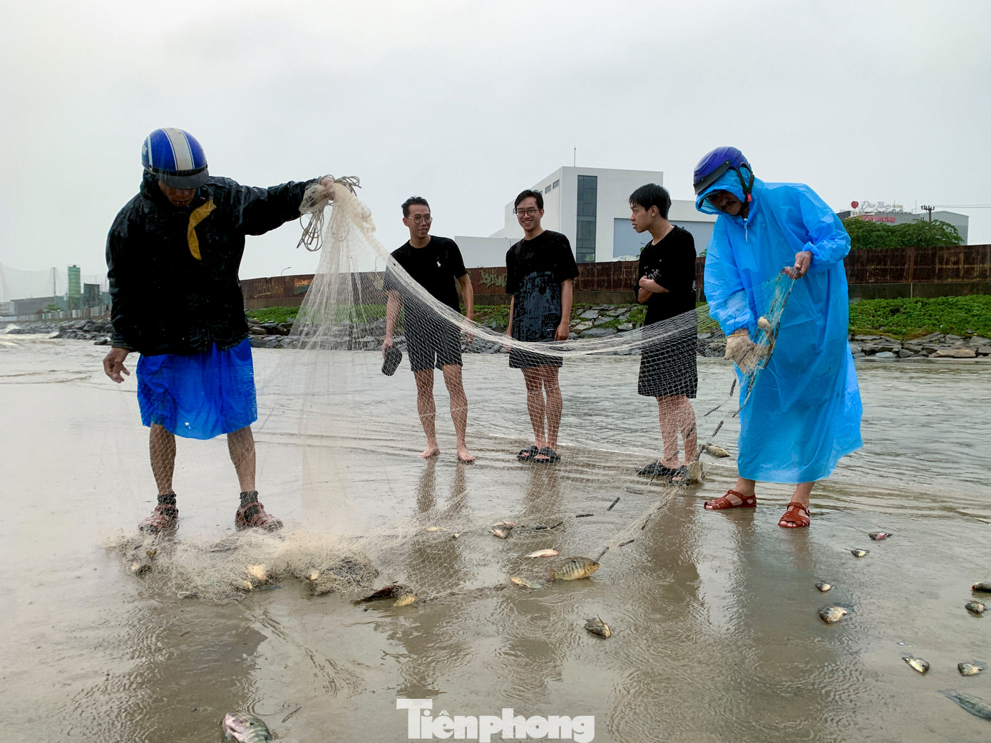 Tại khu vực cống thoát nước ngã ba đường Lê Độ - Nguyễn Tất Thành và dọc kênh Phú Lộc (thuộc quận Thanh Khê), nhiều người đứng dọc mép nước quăng lưới, thả vợt bắt cá. Dù giăng lưới ở khu vực bờ biển, nhưng cá bắt được đều là cá nước ngọt như cá rô phi, cá sặc, cá đối, cá trê, cá mè…