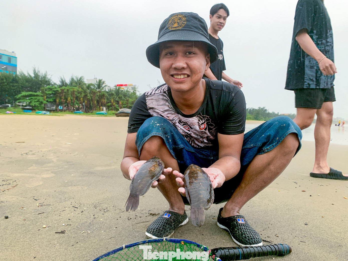 Anh Nguyễn Đình Huy (trú quận Cẩm Lệ) cho biết, mỗi khi có mưa bão, cá nước ngọt ở các ao, hồ, sông ngòi trong nội thành sẽ theo dòng nước chảy mạnh qua hệ thống cống, kênh mương rồi trôi ra biển qua các cửa xả. Khi gặp nước mặn, nhiều con bị đuối hoặc sốc môi trường, nổi lên gần bờ nên dễ bắt.