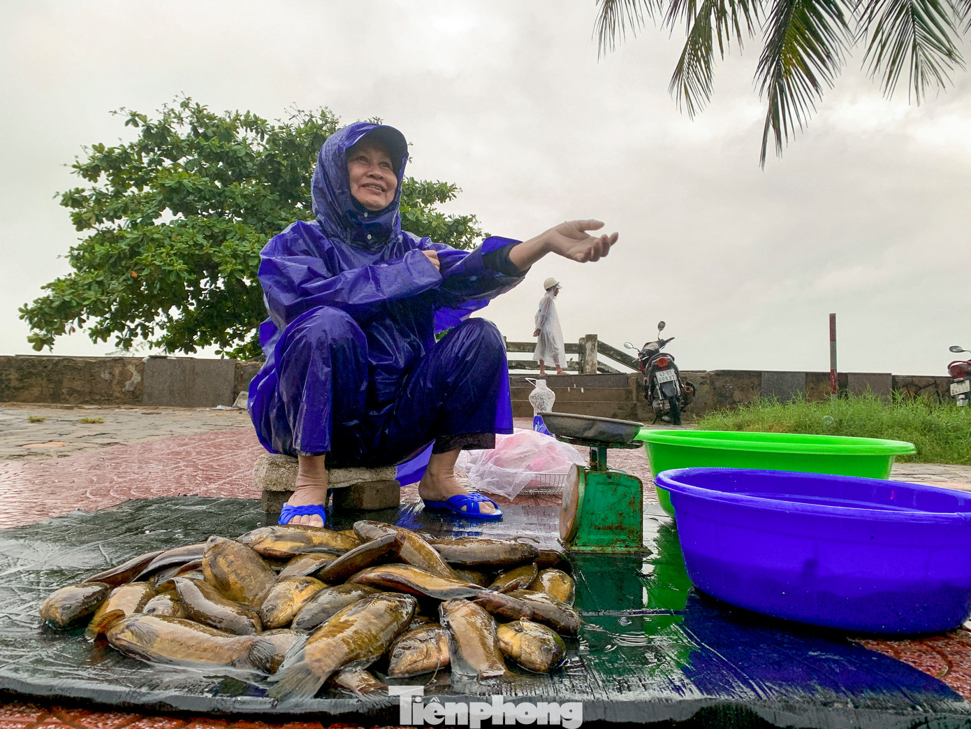 Cá được bán với giá dao động từ 20.000 đến 50.000 đồng/kg tùy loại, chủ yếu là cá sặc, cá rô phi, cá mè. Người mua phần lớn là người dân địa phương đi dạo biển hoặc sống gần khu vực cửa xả.