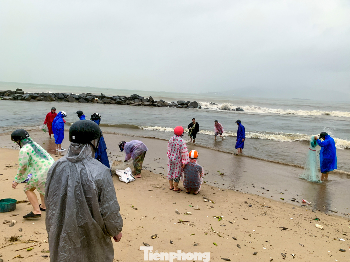 Chiều 12/6, sau mưa lớn do ảnh hưởng của bão, nhiều người dân Đà Nẵng đổ ra các cửa xả ven biển đường Nguyễn Tất Thành (quận Thanh Khê) để đánh bắt cá.