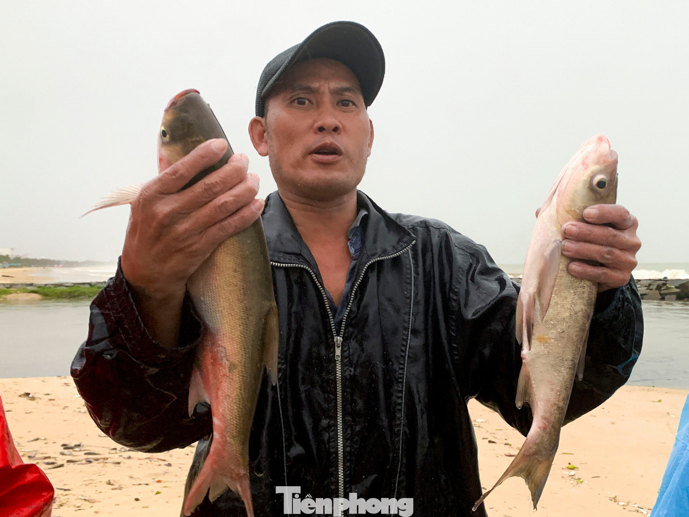 Cá sau khi đánh bắt lên bờ được nhiều người dân và khách đi đường mua ngay tại chỗ, việc mua bán diễn ra nhanh chóng, không cần qua chợ hay trung gian.