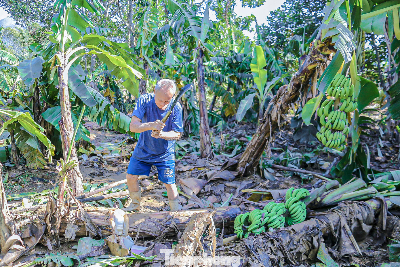 Người dân đang cố gắng khắc phục thiệt hại. Người dân đang cố gắng khắc phục thiệt hại.