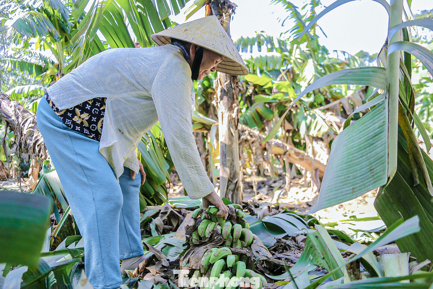 Ông Trương Thanh Nhân - Phó Chủ tịch UBND xã Hòa Bắc - cho biết xã đang chờ các thôn tổng hợp thiệt hại, gửi báo cáo lên cho xã. Sau đó xã cử đoàn đi kiểm tra thực tế để nắm rõ số lượng hoa màu bị thiệt hại trong đợt bão lũ vừa qua, hỗ trợ người dân theo quy định của nhà nước về thiệt hại nông nghiệp do thiên tai gây ra một cách sớm nhất. Ông Trương Thanh Nhân - Phó Chủ tịch UBND xã Hòa Bắc - cho biết xã đang chờ các thôn tổng hợp thiệt hại, gửi báo cáo lên cho xã. Sau đó xã cử đoàn đi kiểm tra thực tế để nắm rõ số lượng hoa màu bị thiệt hại trong đợt bão lũ vừa qua, hỗ trợ người dân theo quy định của nhà nước về thiệt hại nông nghiệp do thiên tai gây ra một cách sớm nhất.