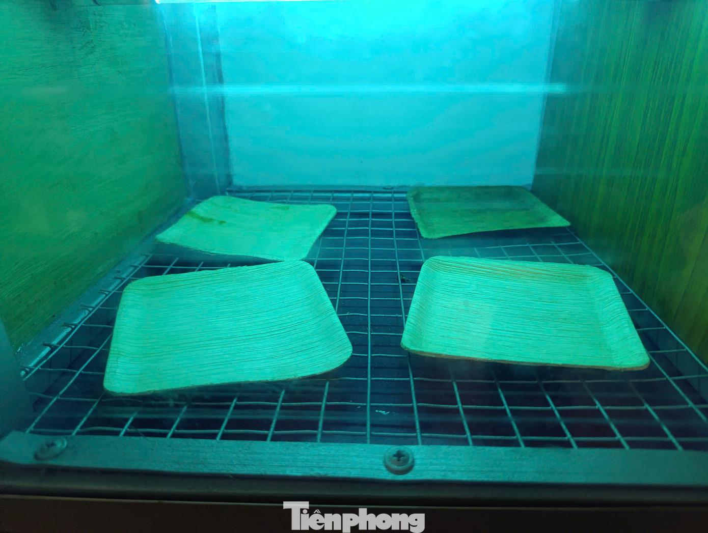 Máy ép chén đĩa này sử dụng phương pháp xử lý nhiệt, xử lý sản phẩm sử dụng tia cực tím, vệ sinh UV chống ẩm mốc. Với thiết kế gọn, thẩm mỹ và có độ an toàn cao.