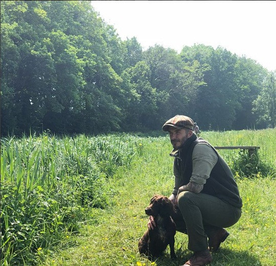 Victoria Beckham đăng ảnh hài hước con gái Harper đeo mặt nạ bố David ảnh 10