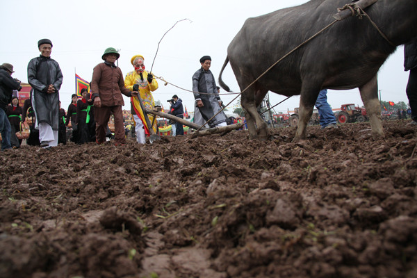 Những sá cày đầu tiên