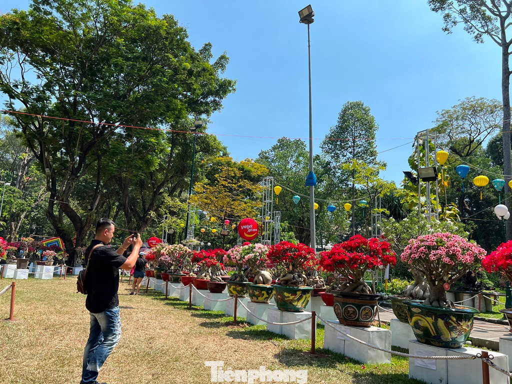 Ngày 10/2 (mùng 1 Tết), tại hoa hội xuân Tao Đàn (quận 1) người dân TPHCM và du khách trong và ngoài nước đã đến đây để chiêm ngưỡng, chụp ảnh với cả trăm cây kiểng quý hiếm mỗi năm chỉ hội tụ một lần tại thành phố.