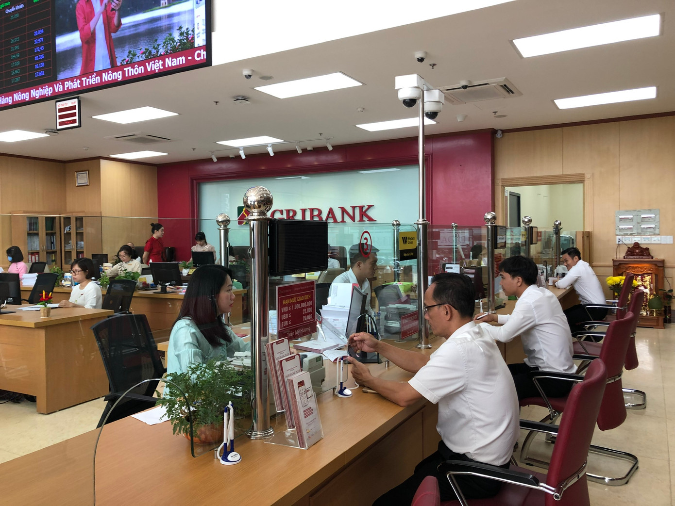 Ngân hàng Agribank đã hỗ trợ vốn vay ưu đãi cho cả nghìn lượt khách hàng trong lĩnh vực nông nghiệp.