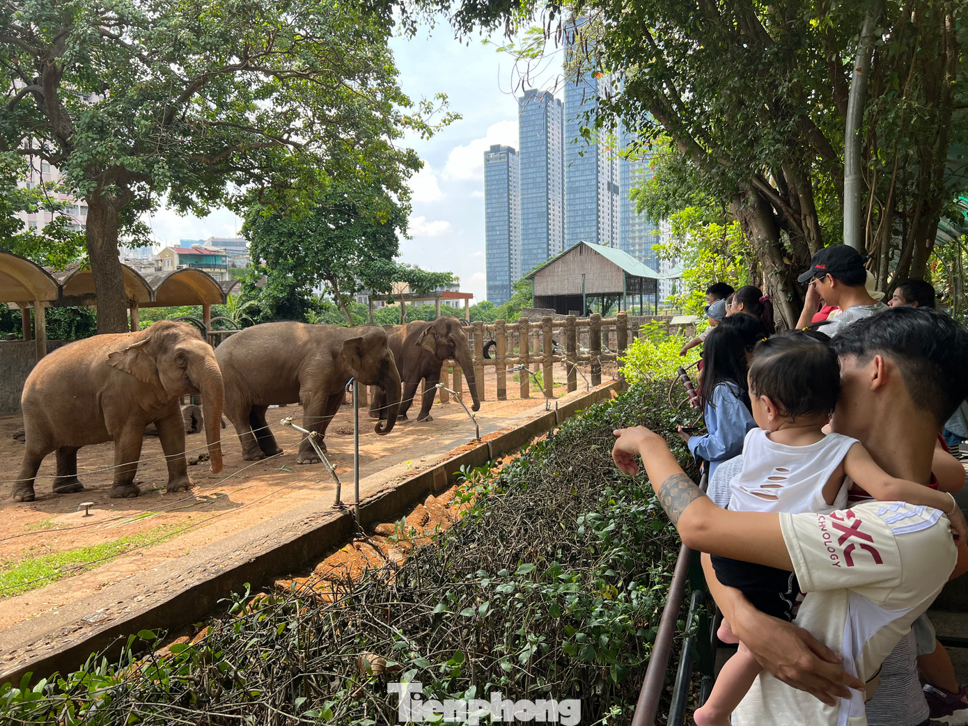Thảo cầm viên Sài Gòn là điểm đến tham quan, vui chơi quen thuộc của rất nhiều người dân ở TPHCM và các địa phương mỗi dịp lễ, Tết. Tại đây có hơn 2.000 cá thể động vật nhưng chỉ có khoảng 40 người chăm sóc. Chăm sóc thú là một công việc thầm lặng, ngoài yếu tố chuyên môn còn đòi hỏi sự chịu khó, nhẫn nại để có thể gần gũi, chăm sóc chúng mỗi ngày.