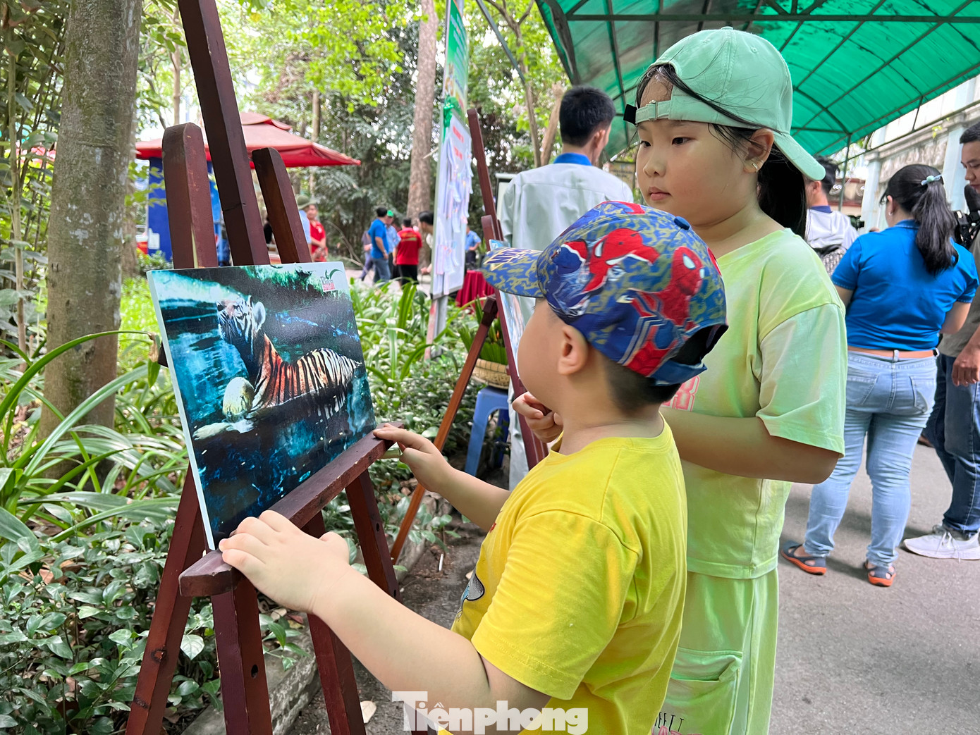 Các em nhỏ thích thú trước hình ảnh một chú hổ con đang đùa nghịch trong hồ nước tại Thảo cầm viên Sài Gòn