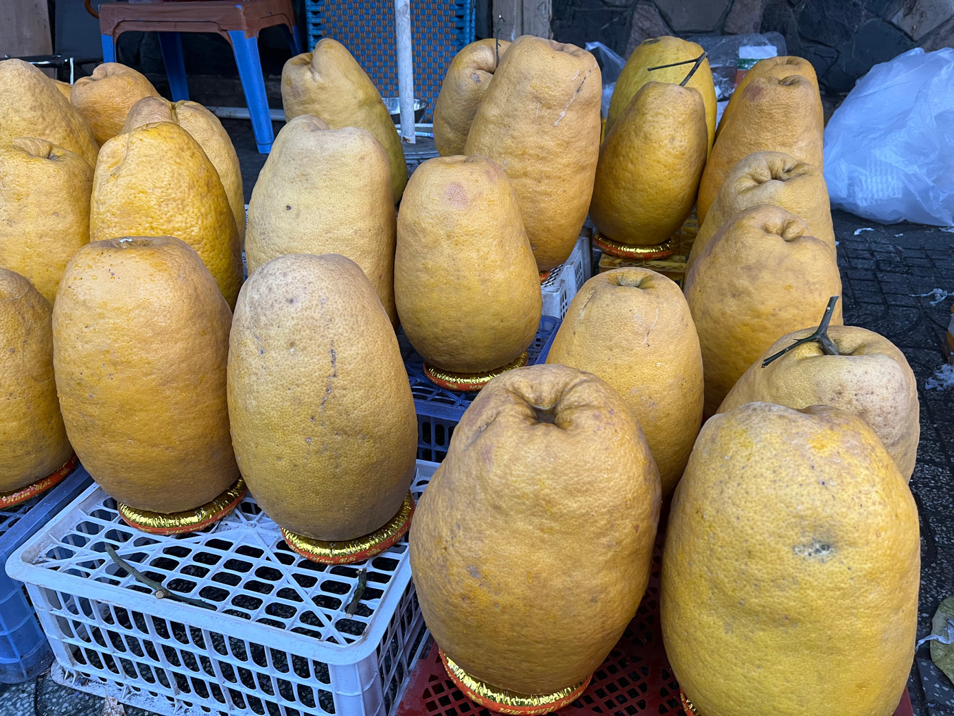 Bưởi kỳ đà "siêu to khổng lồ" được bày bán ngay trên vỉa hè ở TPHCM Bưởi kỳ đà "siêu to khổng lồ" được bày bán ngay trên vỉa hè ở TPHCM