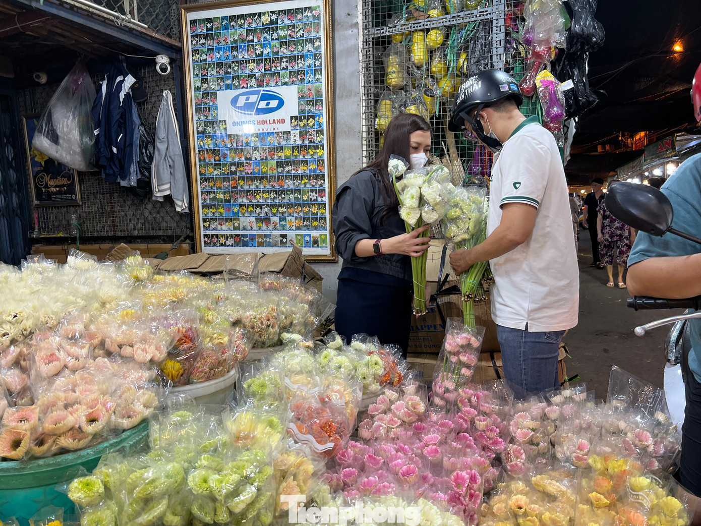 Muôn hoa đua sắc dịp Tết, hàng nội - ngoại đều có đủ. Tuy nhiên, hoa nội chiếm ưu thế hơn vì giá rẻ. Muôn hoa đua sắc dịp Tết, hàng nội - ngoại đều có đủ. Tuy nhiên, hoa nội chiếm ưu thế hơn vì giá rẻ.