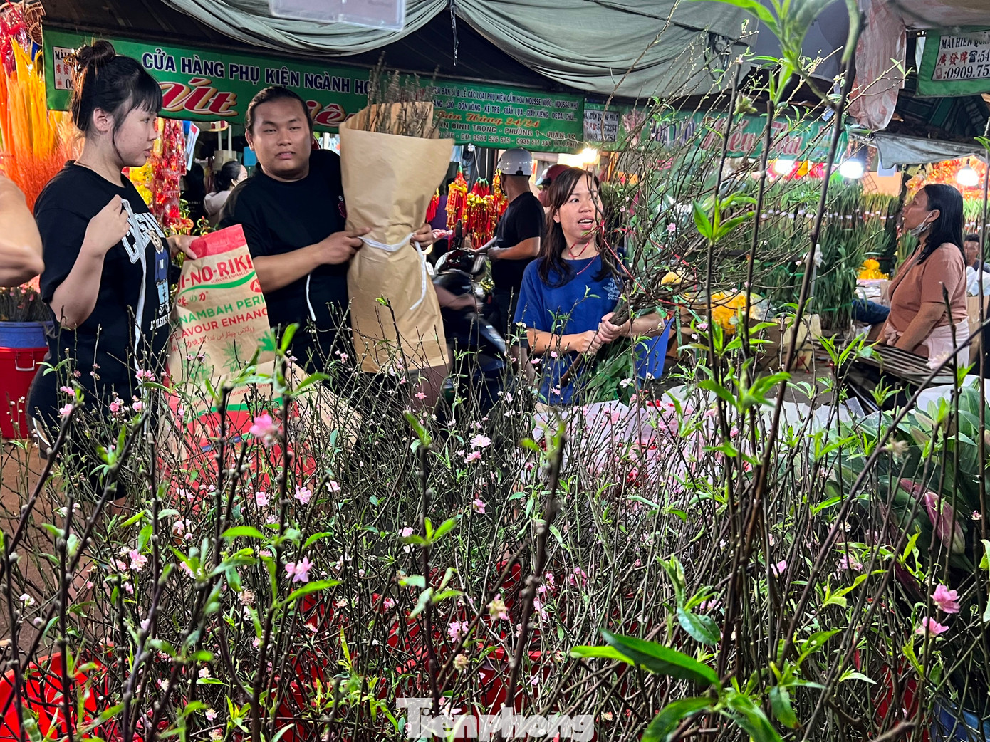Anh Nguyễn Huy Hoàng Nam (giữa), sạp Vân Nhuận giới thiệu các loại đào phai cho khách với giá chỉ 200.000 đồng/cành. Anh Nam cho biết, anh có vườn đào ở Hà Nội nên luôn có cây đẹp và giá mềm nhất so với nhiều quầy hàng khác. "Vài ngày gần đây khách mua có tăng lên nhưng vẫn thua với giai đoạn 2 năm trước. Lúc ấy đào cành chất đầy ki-ốt, khách đi bộ phải nhích từng chút một" - anh Nam nói. Anh Nguyễn Huy Hoàng Nam (giữa), sạp Vân Nhuận giới thiệu các loại đào phai cho khách với giá chỉ 200.000 đồng/cành. Anh Nam cho biết, anh có vườn đào ở Hà Nội nên luôn có cây đẹp và giá mềm nhất so với nhiều quầy hàng khác. "Vài ngày gần đây khách mua có tăng lên nhưng vẫn thua với giai đoạn 2 năm trước. Lúc ấy đào cành chất đầy ki-ốt, khách đi bộ phải nhích từng chút một" - anh Nam nói.