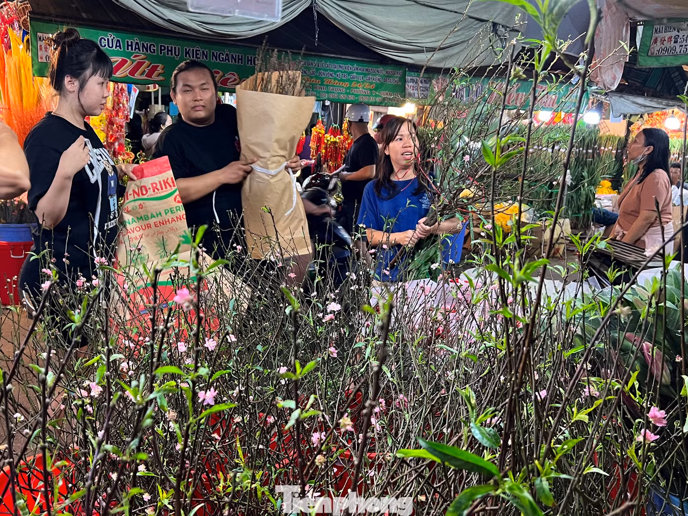 Anh Nguyễn Huy Hoàng Nam (giữa), sạp Vân Nhuận giới thiệu các loại đào phai cho khách với giá chỉ 200.000 đồng/cành. Anh Nam cho biết, anh có vườn đào ở Hà Nội nên luôn có cây đẹp và giá mềm nhất so với nhiều quầy hàng khác. "Vài ngày gần đây khách mua có tăng lên nhưng vẫn thua với giai đoạn 2 năm trước. Lúc ấy đào cành chất đầy ki-ốt, khách đi bộ phải nhích từng chút một" - anh Nam nói.