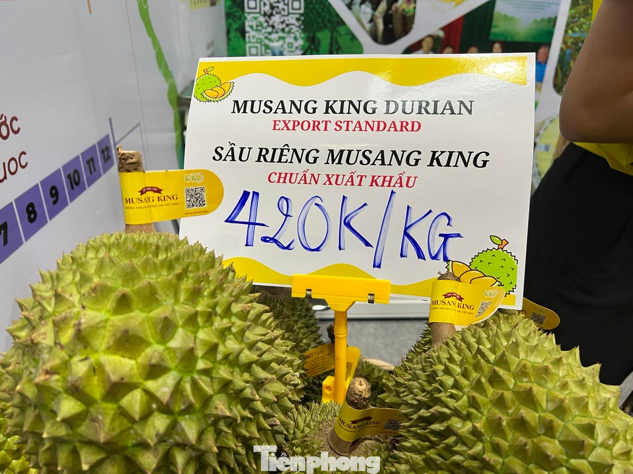 Sầu riêng Musang King trồng tại Việt Nam có giá tới 420.000 đồng/kg.