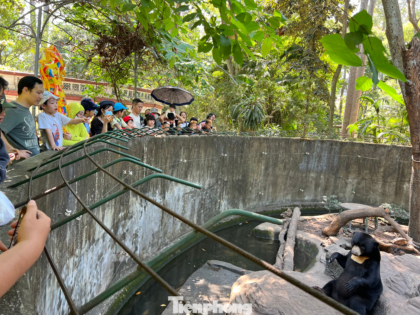 Một chú gấu thể hiện sự thân thiện bằng cách ngồi, đứng 2 chân, ăn trái cây, đôi lúc còn "vẫy tay" chào du khách Một chú gấu thể hiện sự thân thiện bằng cách ngồi, đứng 2 chân, ăn trái cây, đôi lúc còn "vẫy tay" chào du khách