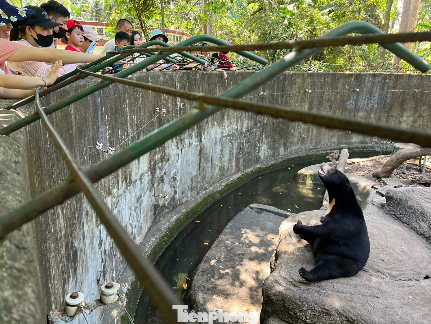 Những ngày nghỉ Tết Nguyên đán 2024, trẻ em thường được cha mẹ đưa vào Thảo Cầm Viên (TPHCM) vui chơi, ngắm các loài động vật đang được nuôi dưỡng, chăm sóc tại đây. Những ngày nghỉ Tết Nguyên đán 2024, trẻ em thường được cha mẹ đưa vào Thảo Cầm Viên (TPHCM) vui chơi, ngắm các loài động vật đang được nuôi dưỡng, chăm sóc tại đây.