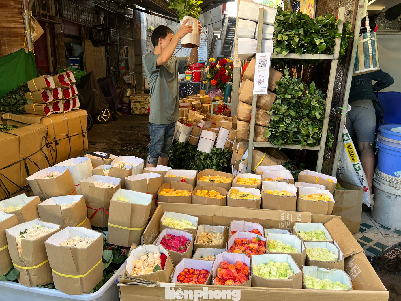 Hoa hồng tươi đủ các màu, vừa được đưa về chợ ở TPHCM mòn mỏi chờ khách mua.