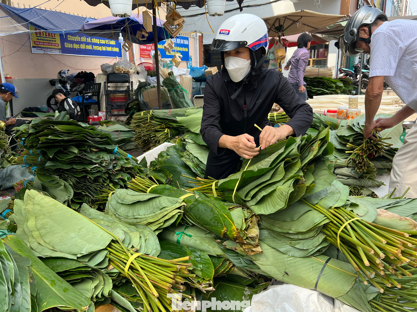 Mặc dù bán chậm hơn mọi năm, lời lãi cũng không bao nhiêu, thậm chí là lỗ, nhưng tiểu thương kinh doanh mặt hàng này tâm sự, năm nào cũng đưa lá dong về phố. Đơn giản là họ muốn giữ một phong tục của dân tộc, đó là gói bánh chưng ngày Tết. Mặc dù bán chậm hơn mọi năm, lời lãi cũng không bao nhiêu, thậm chí là lỗ, nhưng tiểu thương kinh doanh mặt hàng này tâm sự, năm nào cũng đưa lá dong về phố. Đơn giản là họ muốn giữ một phong tục của dân tộc, đó là gói bánh chưng ngày Tết.