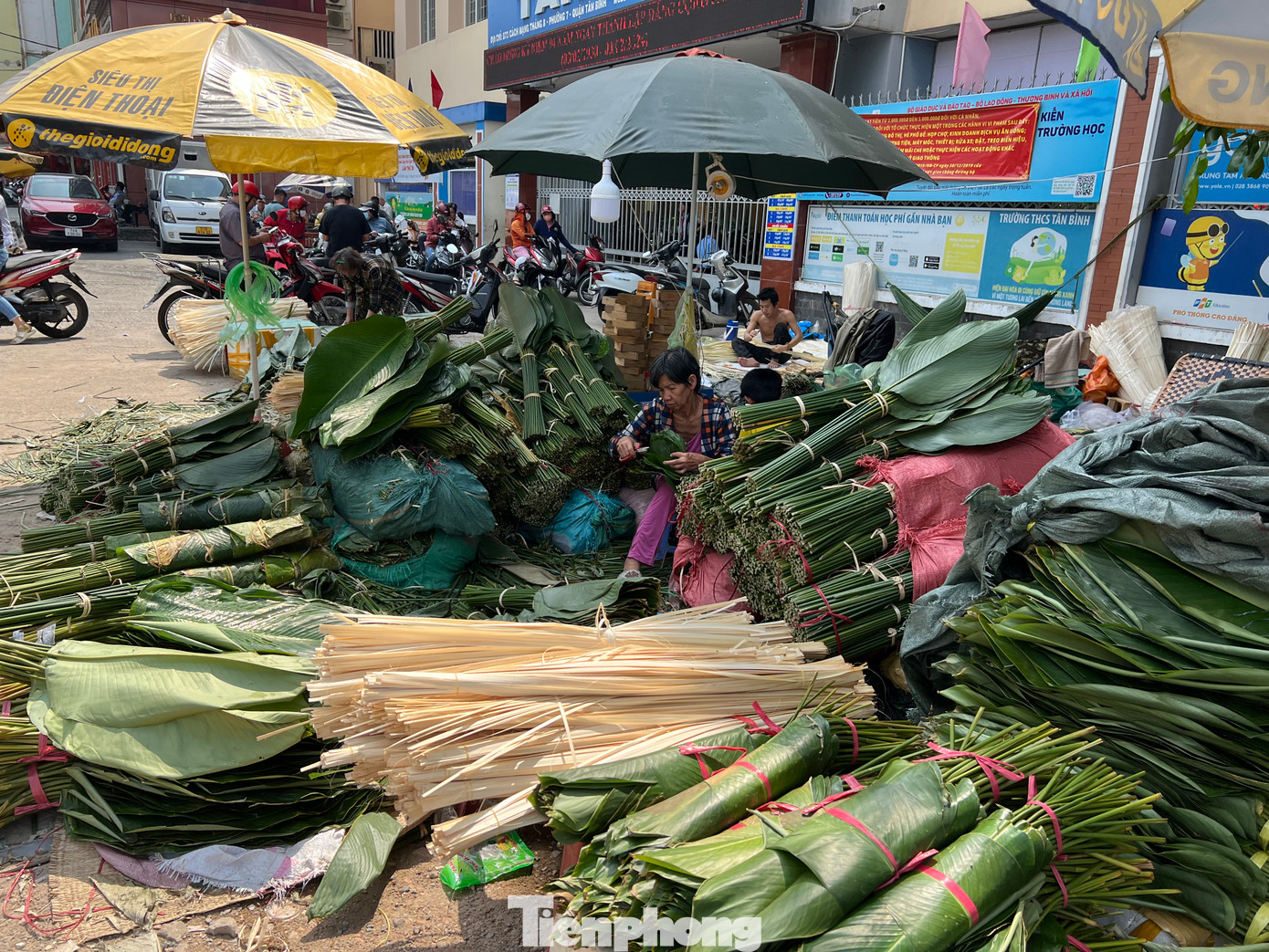 Ngày 31/1, chợ lá dong ngã ba Ông Tạ (đoạn đường Cách Mạng Tháng Tám giao với Phạm Văn Hai, quận Tân Bình, TPHCM) đã có những tiểu thương đem lá dong đến bán phục vụ khách mua gói bánh chưng, nhận dịp Tết Nguyên đán 2024. Đây là phiên chợ mỗi năm một lần và chỉ họp vào thời điểm trước Tết. Ngày 31/1, chợ lá dong ngã ba Ông Tạ (đoạn đường Cách Mạng Tháng Tám giao với Phạm Văn Hai, quận Tân Bình, TPHCM) đã có những tiểu thương đem lá dong đến bán phục vụ khách mua gói bánh chưng, nhận dịp Tết Nguyên đán 2024. Đây là phiên chợ mỗi năm một lần và chỉ họp vào thời điểm trước Tết.