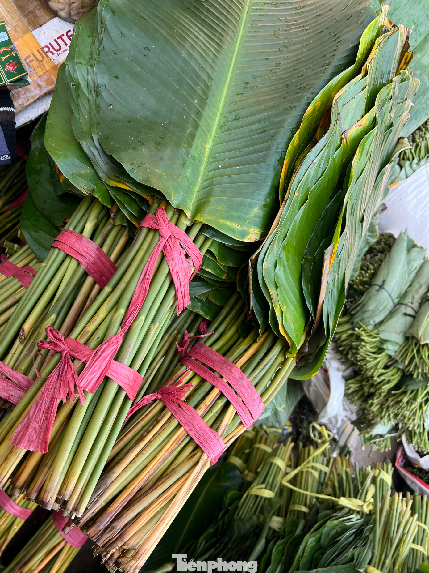 Những bó lá vàng không có khách mua chỉ có thể vứt bỏ Những bó lá vàng không có khách mua chỉ có thể vứt bỏ