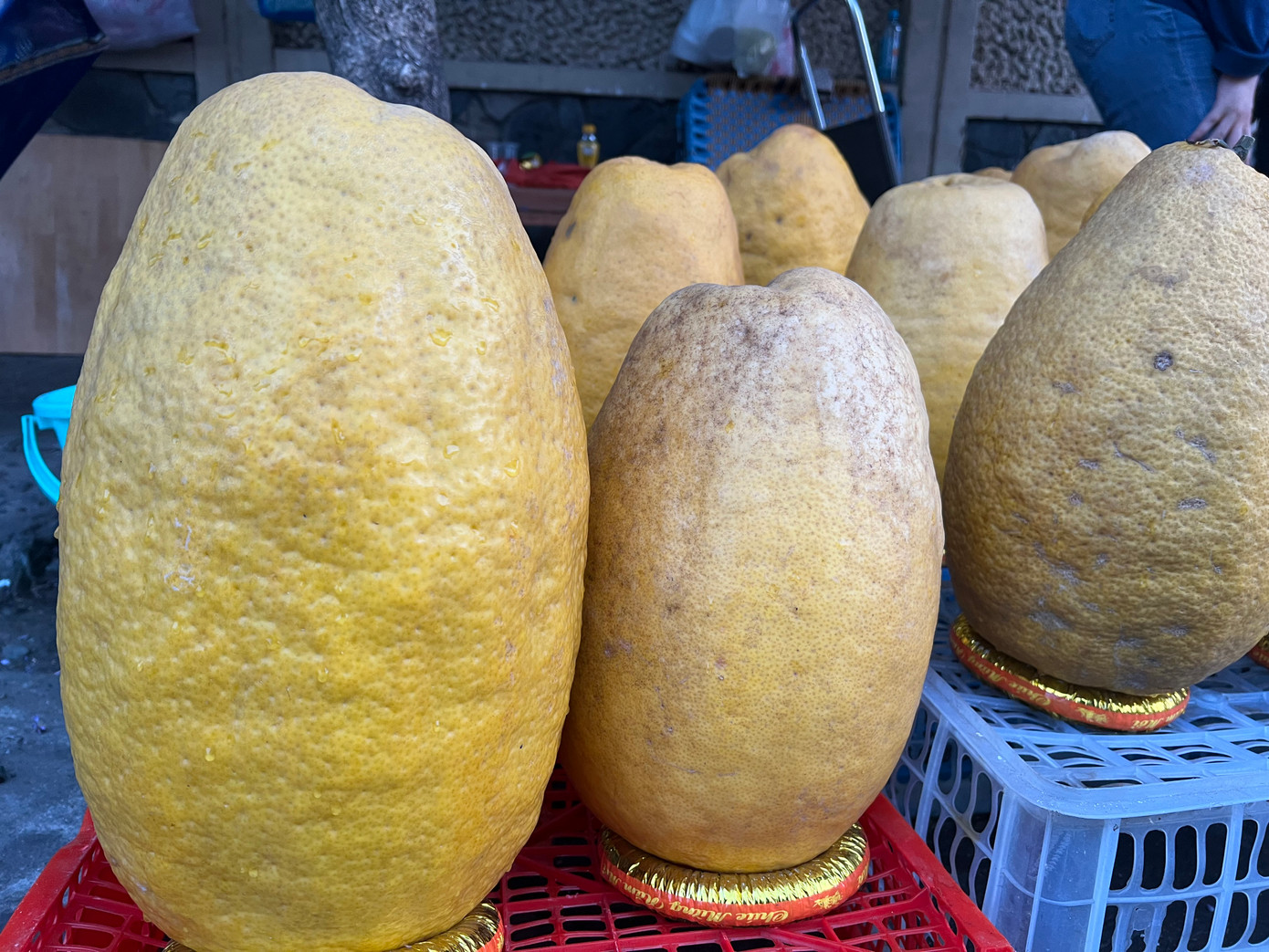 Mỗi trái bưởi nặng từ 5 - 8 kg, có giá từ 600.000 - 960.000 đồng (120.000 đồng/kg) Mỗi trái bưởi nặng từ 5 - 8 kg, có giá từ 600.000 - 960.000 đồng (120.000 đồng/kg)