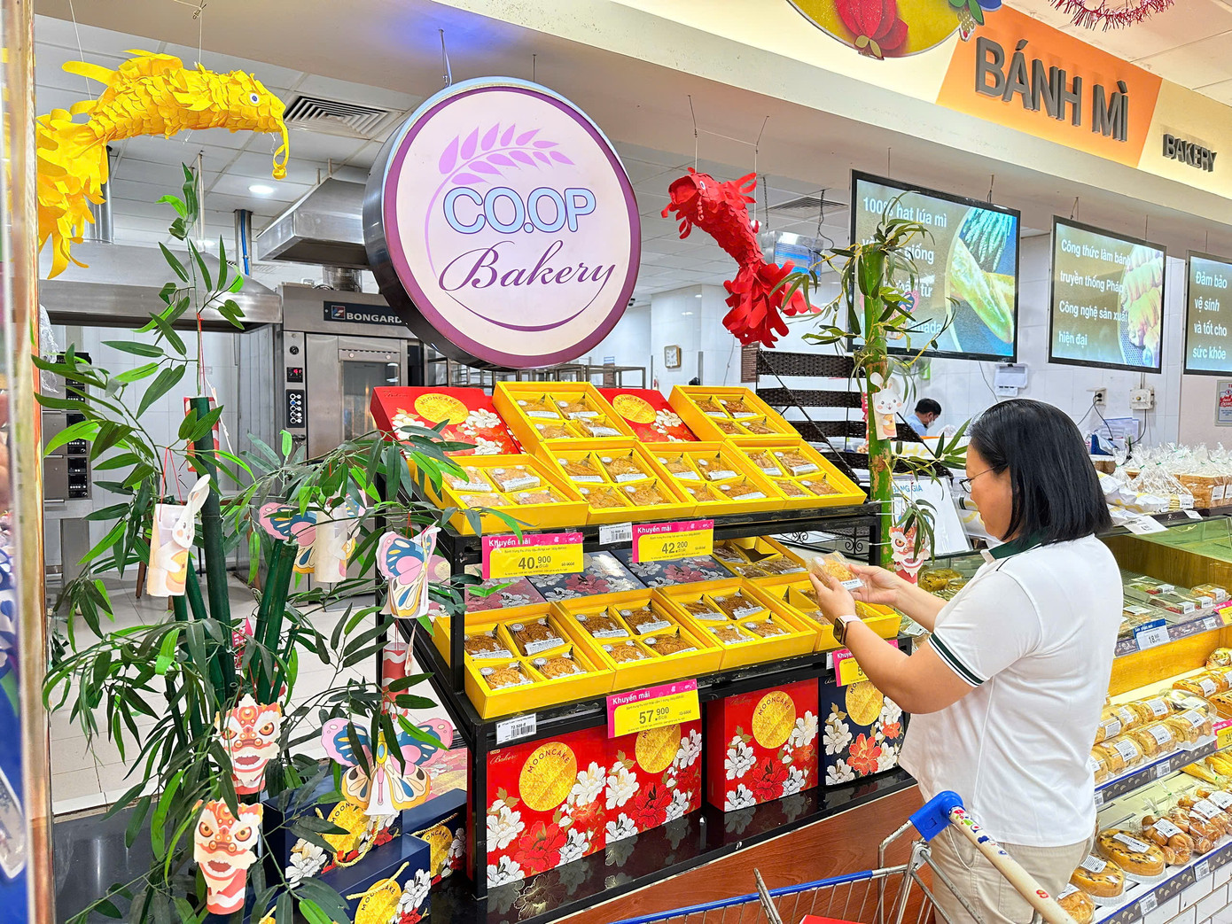 Phân khúc giá rẻ hút khách