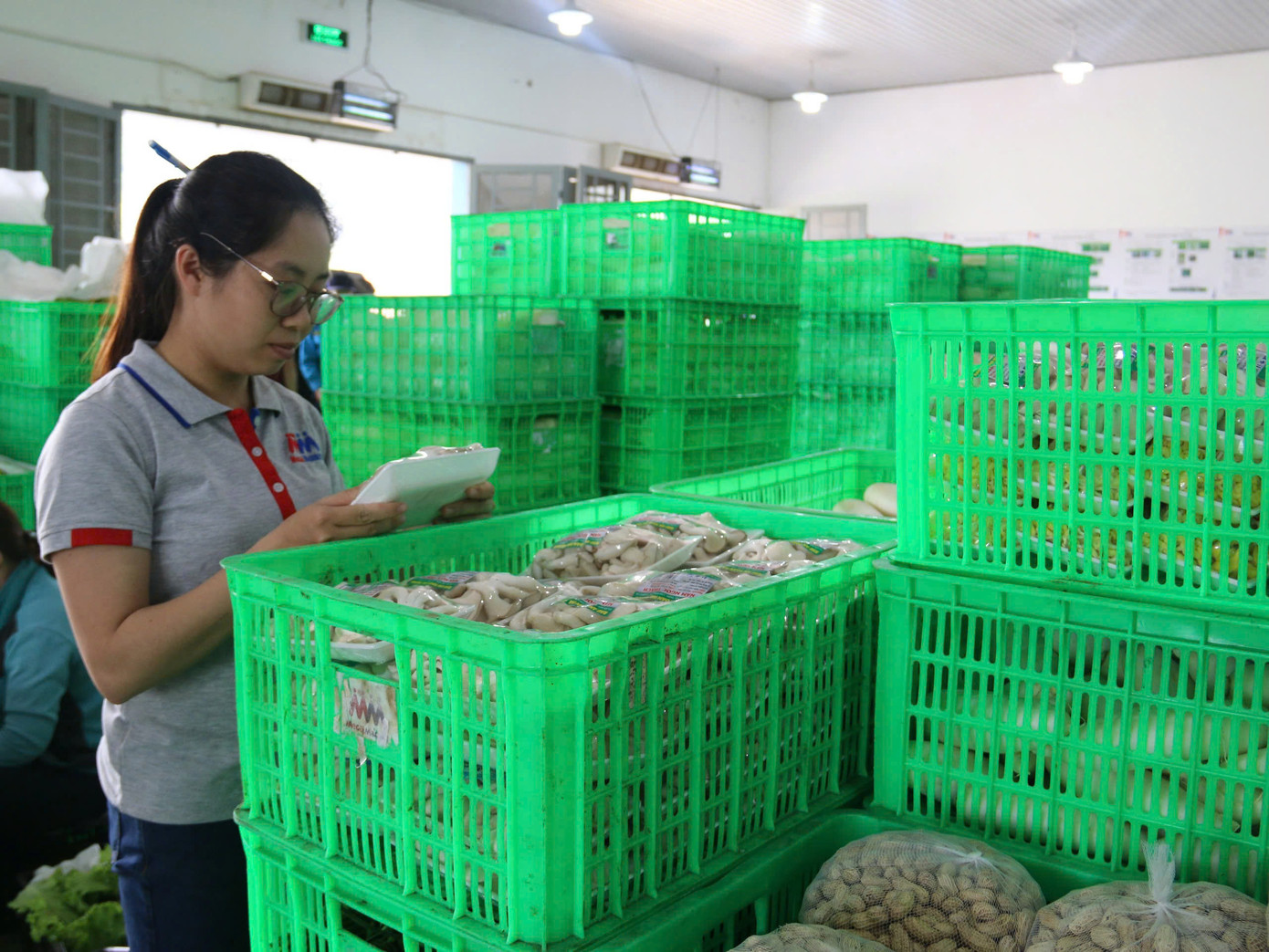 MM Mega Market mỗi ngày đưa hàng chục tấn rau củ quả từ miền Nam ra Bắc hỗ trợ người dân