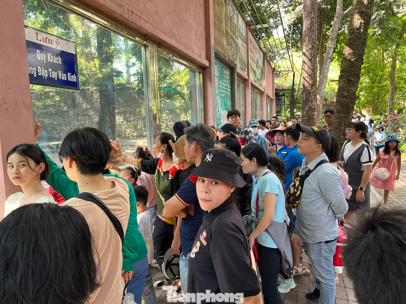 Đại diện Thảo Cầm Viên cho biết, do nhu cầu được xem hổ kéo co của du khách rất đông, nên đơn vị quyết định tổ chức thêm một buổi kéo co nữa trong dịp Tết Nguyên đán, sẽ diễn ra vào lúc 14 giờ ngày 18/2 (nhằm mùng 9 Tết).