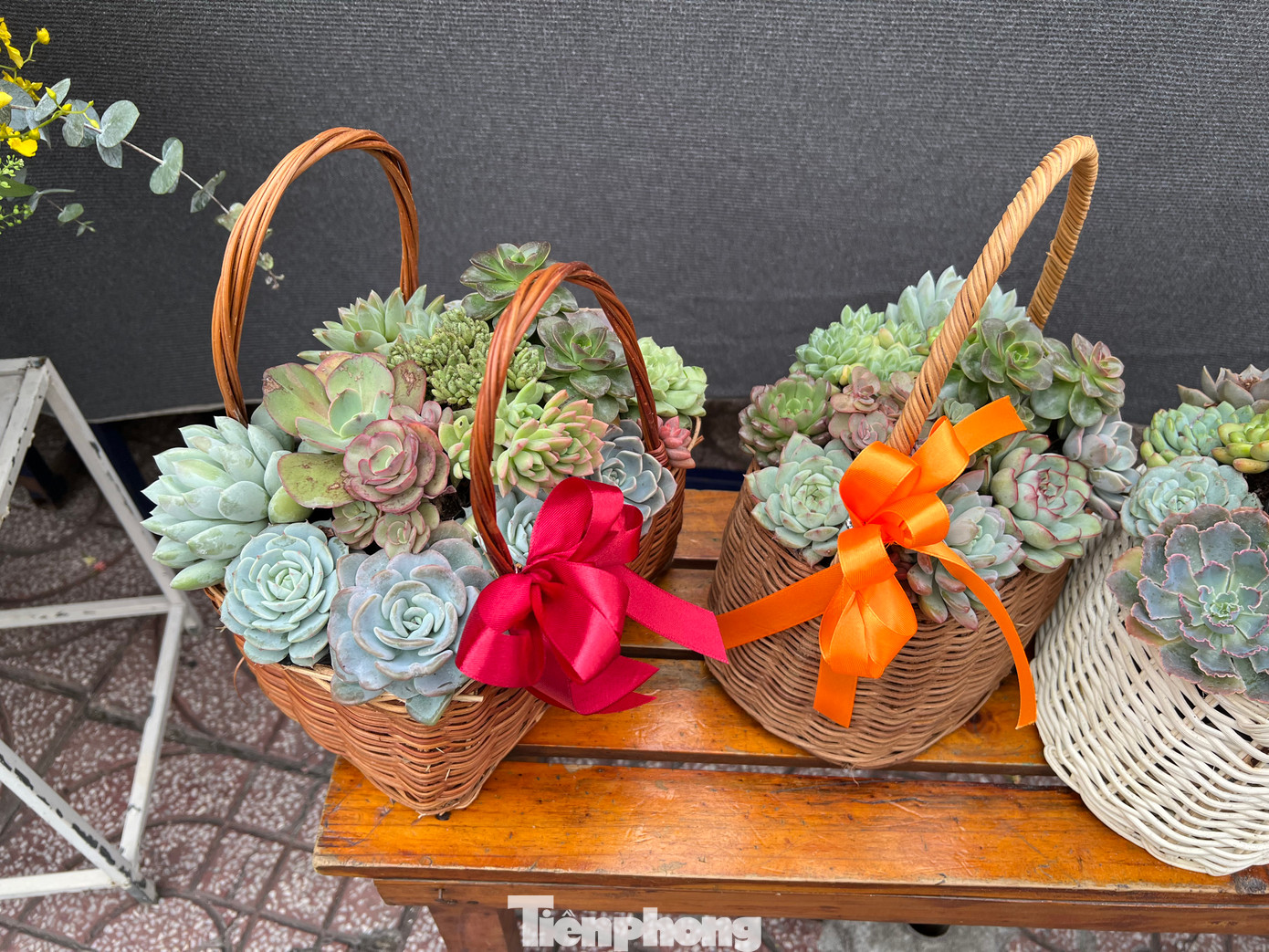 Giỏ hoa sen đá được trang trí đẹp mắt, chơi lâu lên đến cả tháng. Giá từ 200.000 đồng/giỏ.