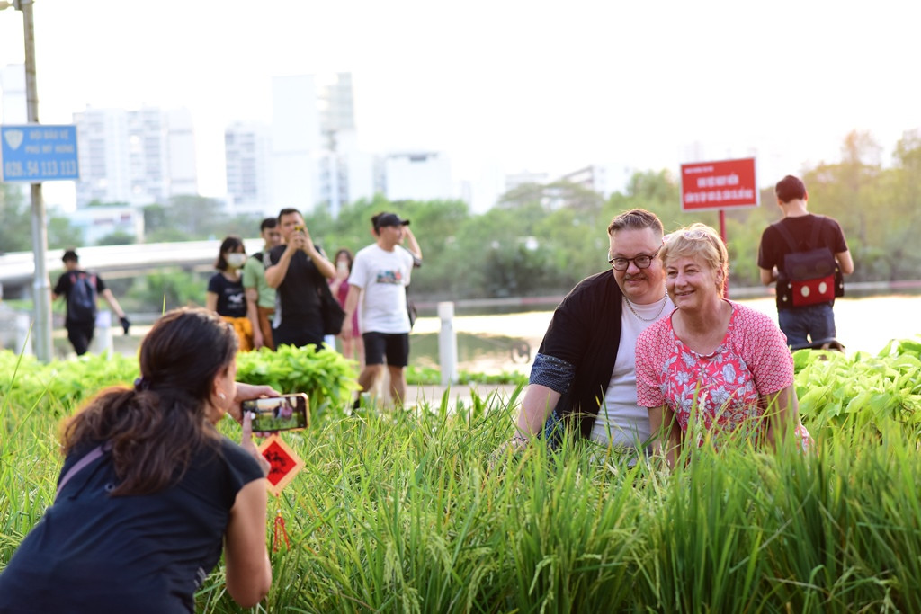 Cánh đồng lúa thu hút du khách nước ngoài. Cánh đồng lúa thu hút du khách nước ngoài.