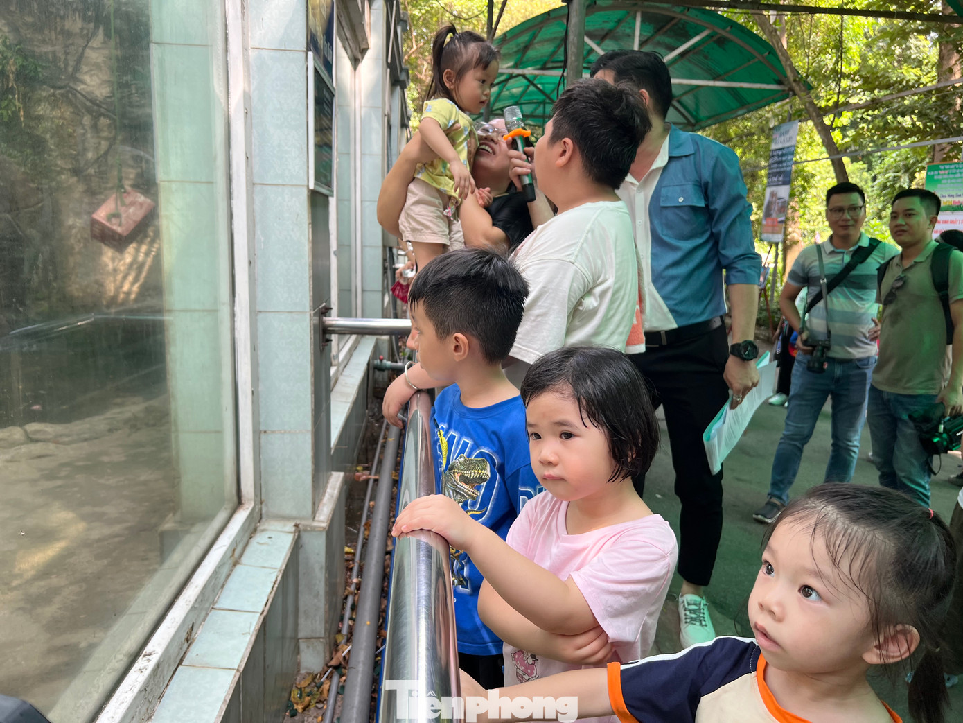 Trẻ em thích thú ngắm hai chú hổ tròn 1 tuổi qua tấm kính