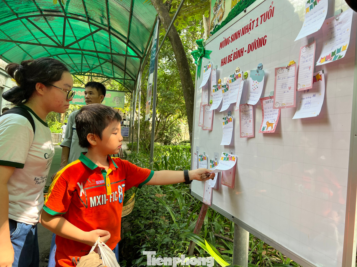 Các em rất mong muốn 2 bé hổ "ăn mau, chóng lớn", có bé còn đòi mẹ mua bánh kem tặng bạn hổ...