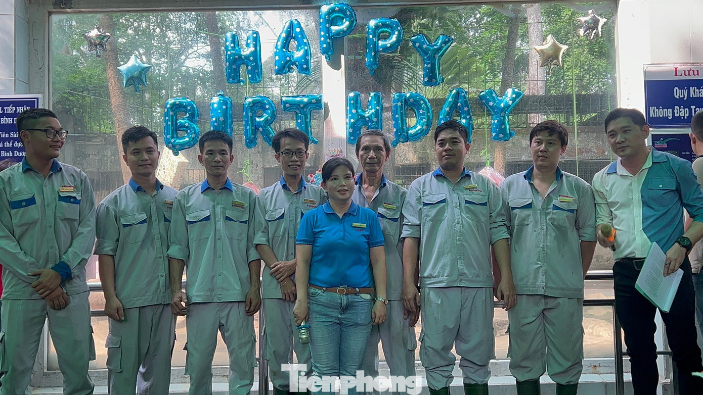 Theo các nhân viên tại đây, 2 “bé” hổ có cha là hổ Bengal được sinh ra tại Thảo Cầm Viên Sài Gòn vào năm 2014 và mẹ là một trong bốn cá thể hổ Bengal mà Thảo Cầm Viên Sài Gòn đã tiếp nhận cứu hộ từ Chi cục Kiểm Lâm tỉnh Bình Dương chuyển giao chăm sóc nuôi dưỡng vào năm 2022. Vì vậy, 2 chú hổ con này được đặt tên là Bình và Dương nhằm thể hiện mối quan hệ hợp tác giữa Thảo Cầm Viên Sài Gòn với Chi cục Kiểm Lâm tỉnh Bình Dương.