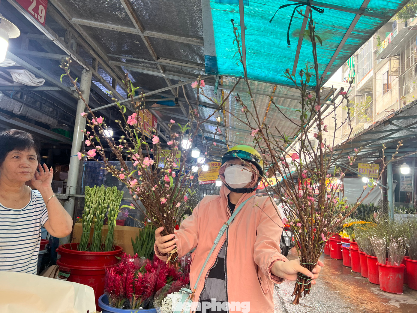 Theo khảo sát của phóng viên, hiện chỉ có khoảng 4 - 5 tiểu thương tại chợ hoa Hồ Thị Kỷ có bán đào cành mini, trong khi các chợ khác hầu như chưa có. "Do còn gần một tháng nữa mới đến Tết Nguyên đán 2024 nên đào chưa về nhiều. Khoảng từ 20 tháng Chạp trở đi, nhu cầu mua hoa chơi Tết của khách tăng lên, lúc đó hầu như tiểu thương nào cũng có mặt hàng này" - bà Phượng, tiểu thương kinh doanh hoa tươi nói.