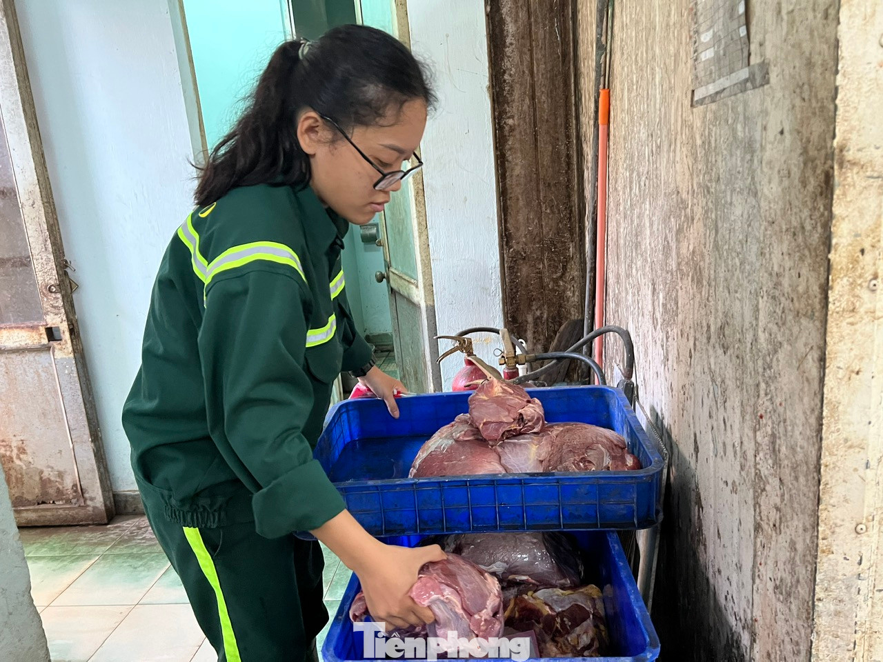 Một "chị nuôi" chuẩn bị khẩu phần ăn cho hổ. Mỗi con hổ được ăn khoảng 5kg thịt một ngày, một tuần sẽ được nhịn một ngày nhằm kích thích đường tiêu hóa và khơi dậy sự thèm ăn. Song song với các bữa ăn, hổ còn được bổ sung các loại vitamin A, B, D và E để lông đẹp, cơ bắp săn chắc; xổ giun, tiêm vắc-xin ngừa bệnh...