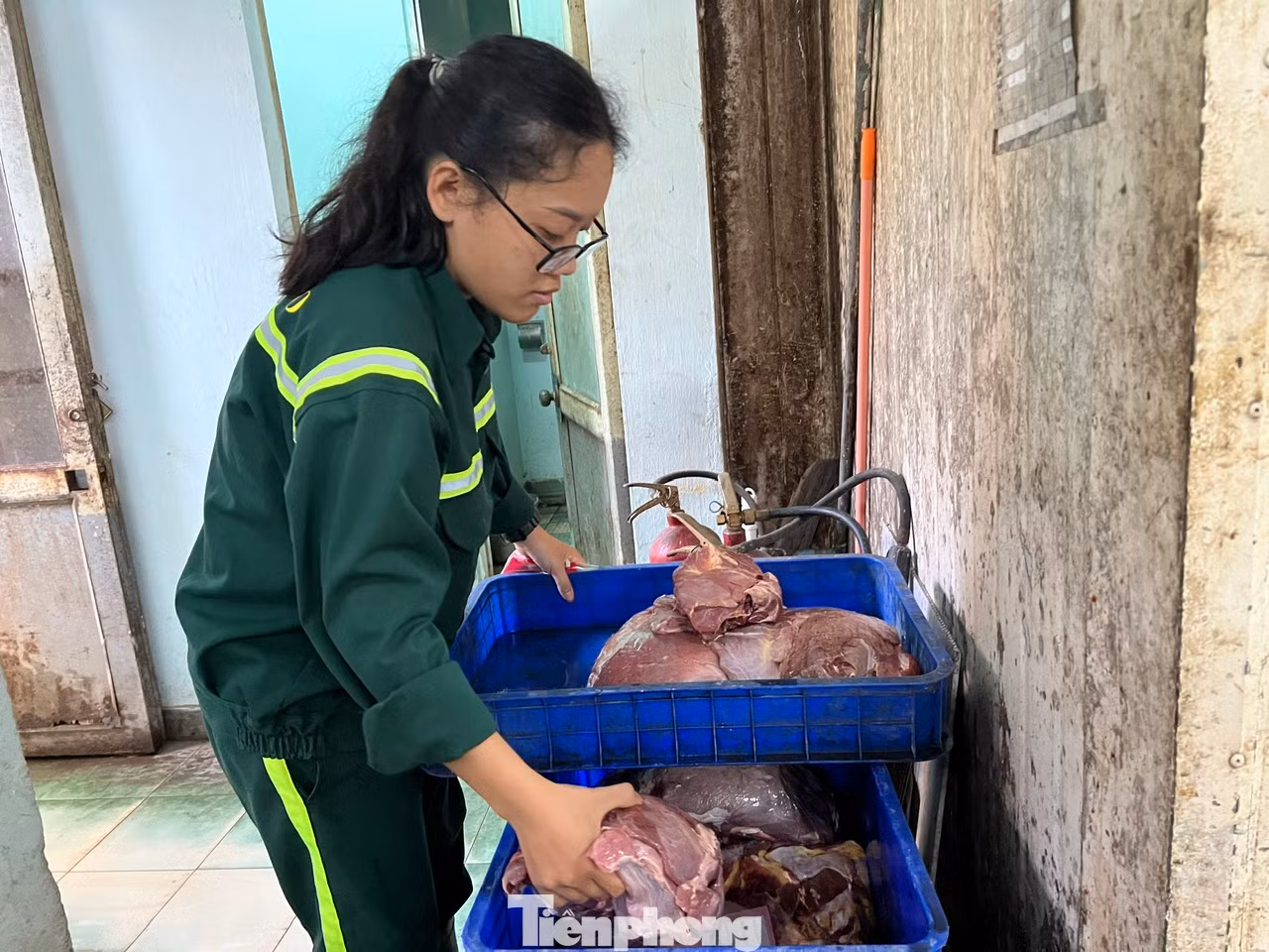 Một "chị nuôi" chuẩn bị khẩu phần ăn cho hổ. Mỗi con hổ được ăn khoảng 5kg thịt một ngày, một tuần sẽ được nhịn một ngày nhằm kích thích đường tiêu hóa và khơi dậy sự thèm ăn. Song song với các bữa ăn, hổ còn được bổ sung các loại vitamin A, B, D và E để lông đẹp, cơ bắp săn chắc; xổ giun, tiêm vắc-xin ngừa bệnh...