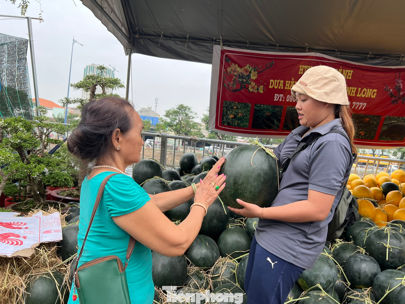 Dưa hấu khổng lồ chưng Tết có giá 20.000 - 25.000 đồng/kg nhưng tiểu thương sẵn sàng bán với giá chỉ 15.000 đồng/kg Dưa hấu khổng lồ chưng Tết có giá 20.000 - 25.000 đồng/kg nhưng tiểu thương sẵn sàng bán với giá chỉ 15.000 đồng/kg