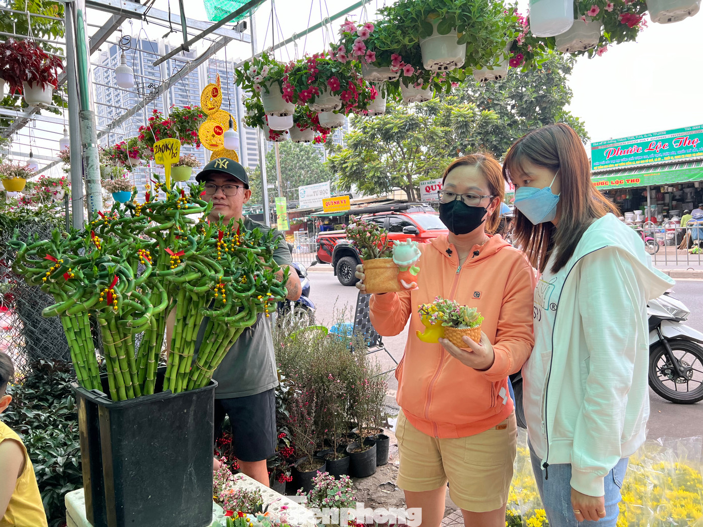 Những cây sen đá được trồng trong chậu có hình rồng ngộ nghĩnh được chị em văn phòng yêu thích, sản phẩm có thể để trên bàn làm việc. Giá từ 120.000 - 320.000 đồng/chậu tùy lớn nhỏ. Những cây sen đá được trồng trong chậu có hình rồng ngộ nghĩnh được chị em văn phòng yêu thích, sản phẩm có thể để trên bàn làm việc. Giá từ 120.000 - 320.000 đồng/chậu tùy lớn nhỏ.